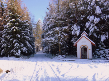 Kaple sv. Huberta
